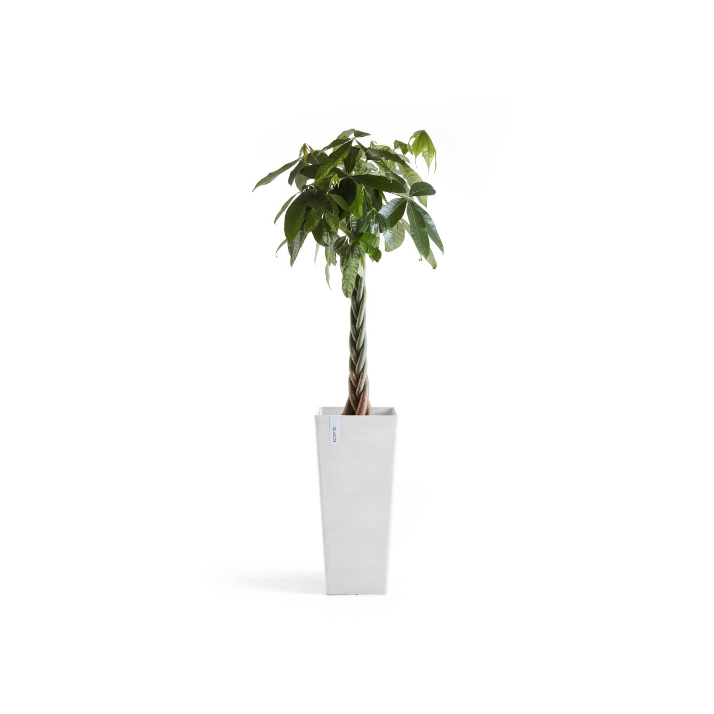 Ruukku Ecopots Rotterdam korkea 70cm valkoinen