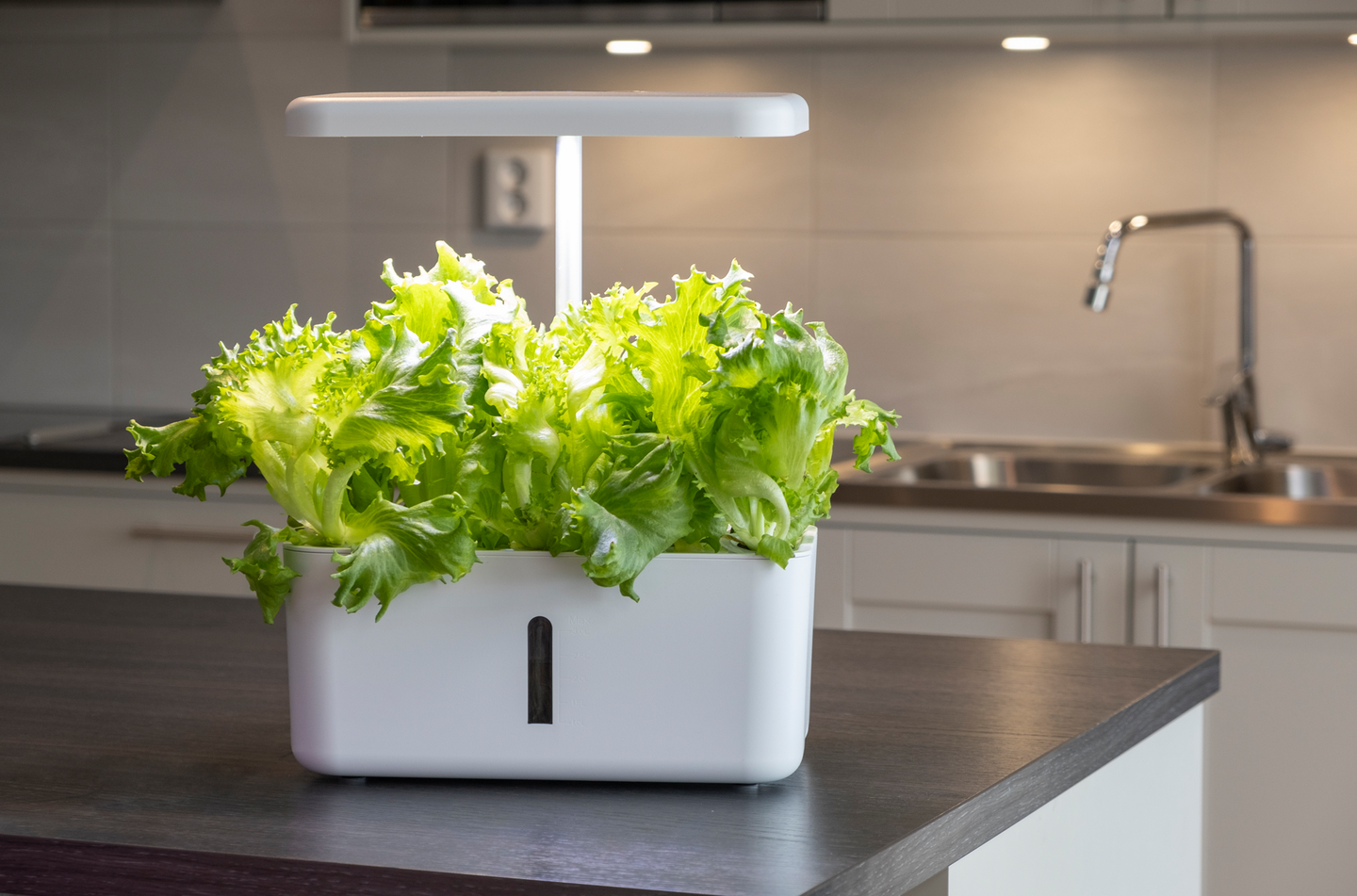 Vesiviljelyjärjestelmä Greenline Urban Growing P8