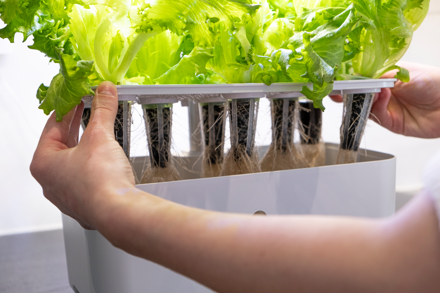 Vesiviljelyjärjestelmä Greenline Urban Growing P8