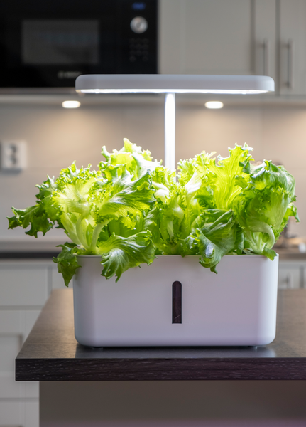 Vesiviljelyjärjestelmä Greenline Urban Growing P8