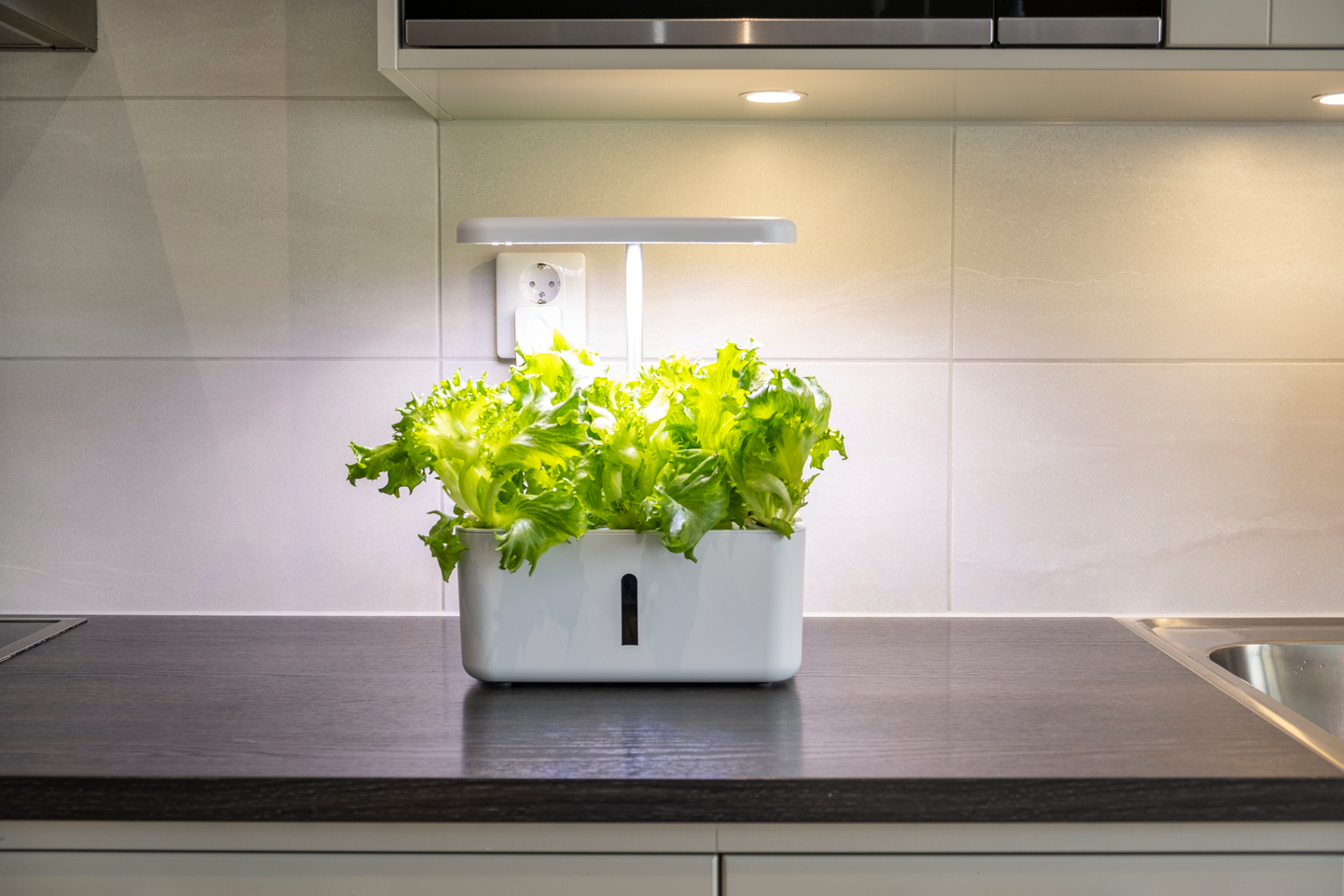 Vesiviljelyjärjestelmä Greenline Urban Growing P8