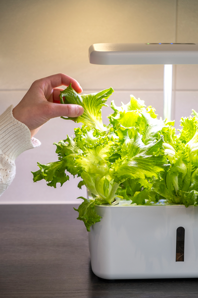 Vesiviljelyjärjestelmä Greenline Urban Growing P8