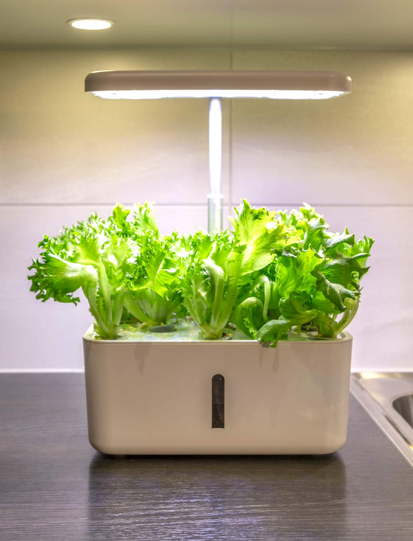 Vesiviljelyjärjestelmä Greenline Urban Growing P8