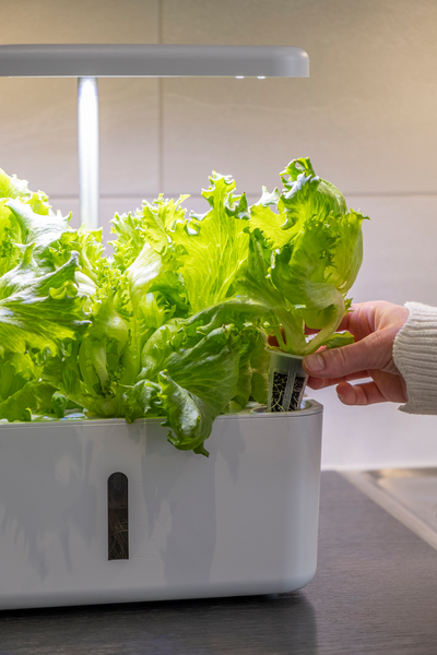Vesiviljelyjärjestelmä Greenline Urban Growing P8