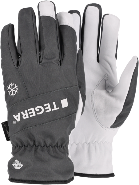 VINTERHANDSKE TEGERA 287  9