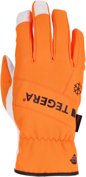 Nahkakäsine TEGERA 288