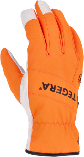 Nahkakäsine TEGERA 288