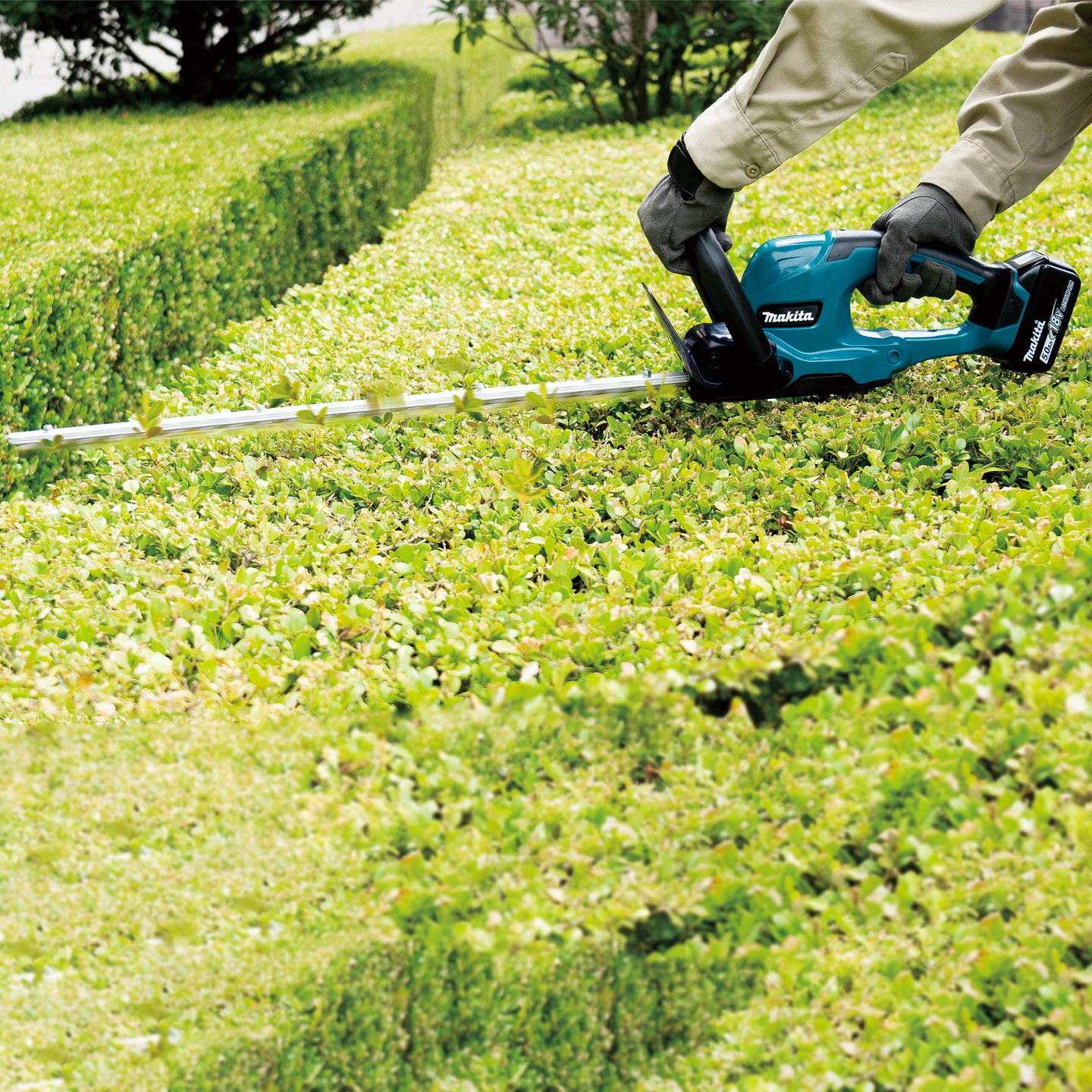 Pensasleikkuri Makita DUH607SF 18V LXT