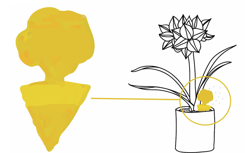 Hyönteisansa ruukkukasveille Stroller