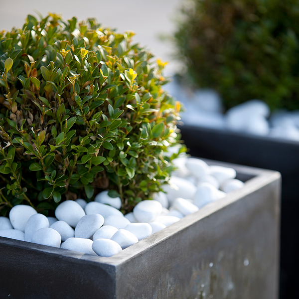 STEN GLOSS 20-40 POLER VI 15KG