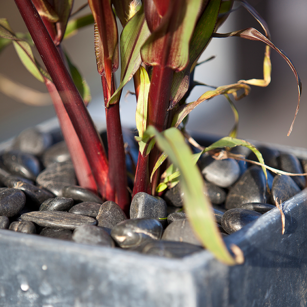 STEN BENDERS GLOSS 20-40 POLER SV 15KG, 20-40MM 15KG