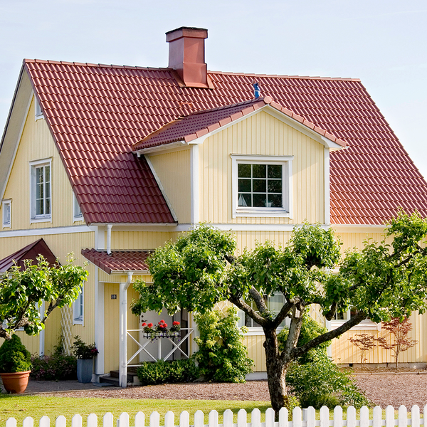 TAKPANNA BENDERS BRILLIANT 2-KUP K HPL, 2-KUPIG BRILLIANT KOPPAR HALVP