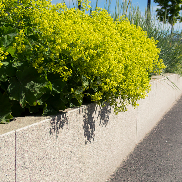 BLOCKSTENMUR BENDERS ENK ELE FLX20X110, GRÅ 700-2800X200X1100/900