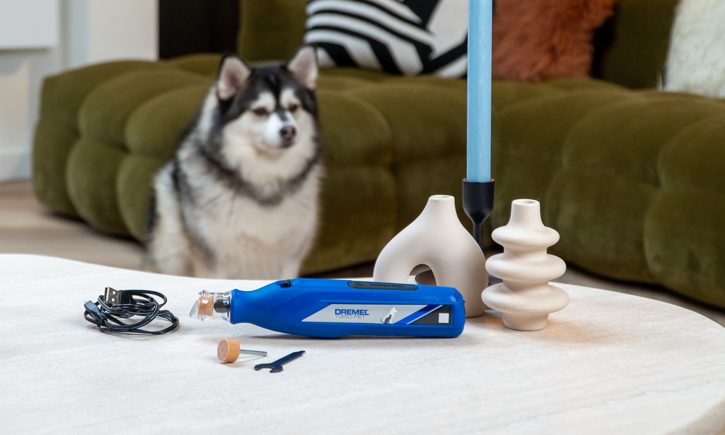 Eläinten kynsihoitosetti Dremel 7350 PET