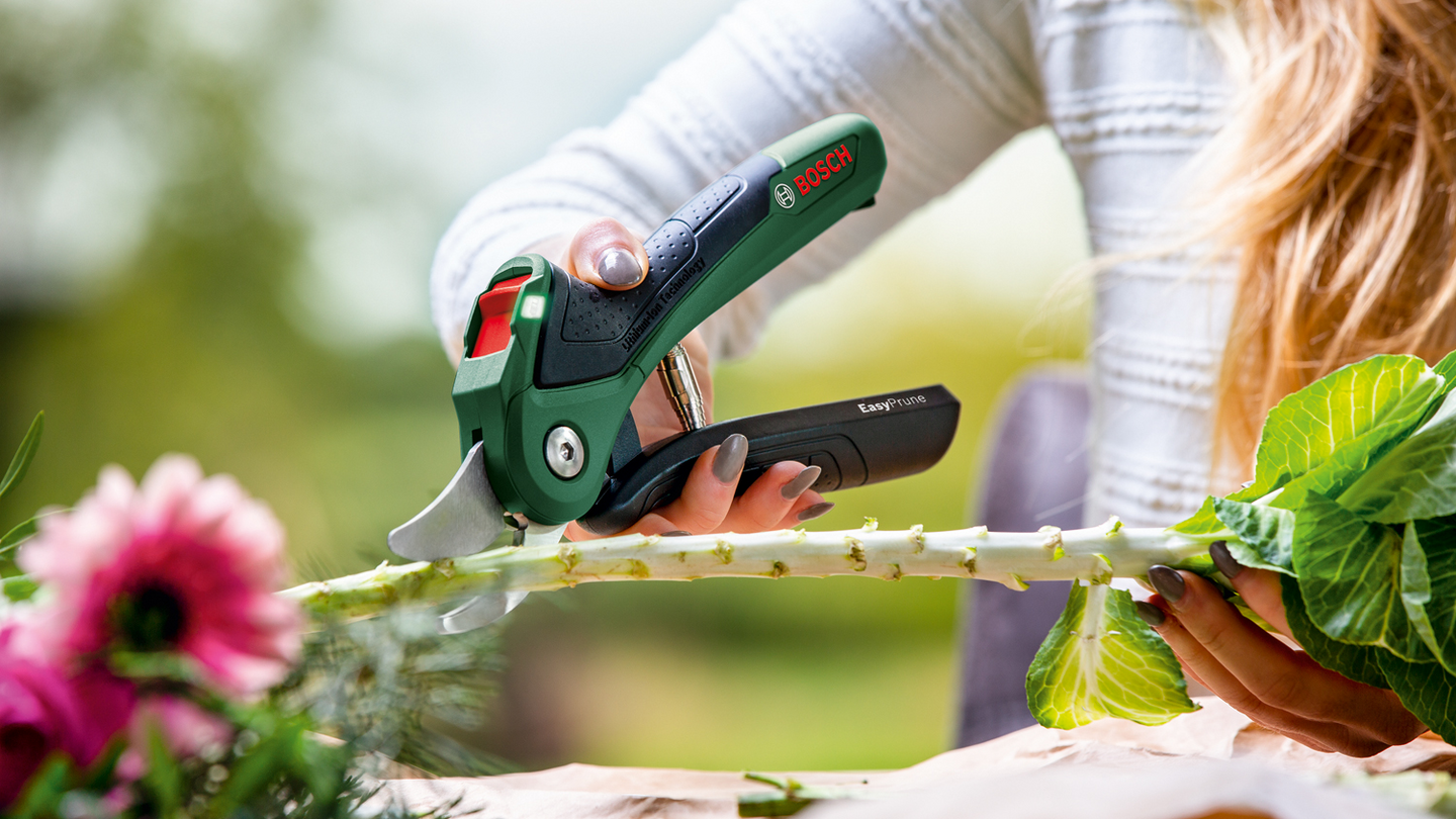 Akkuoksasakset Bosch EasyPrune 3,6V