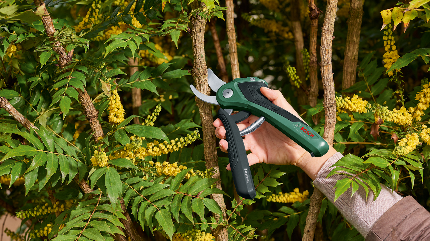 Akkuoksasakset Bosch EasyPrune 3,6V