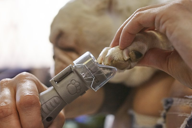 Kynsitrimmeri Dremel 7020