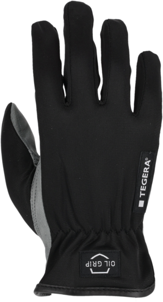 LÄDERHANDSKE TEGERA 6614 10