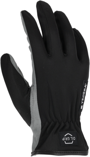 LÄDERHANDSKE TEGERA 6614 10