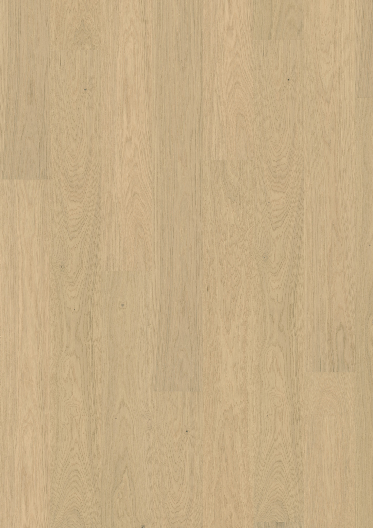 MAXWOOD GOLVABIA XL 127037 2,05M², EK NATUR RAW