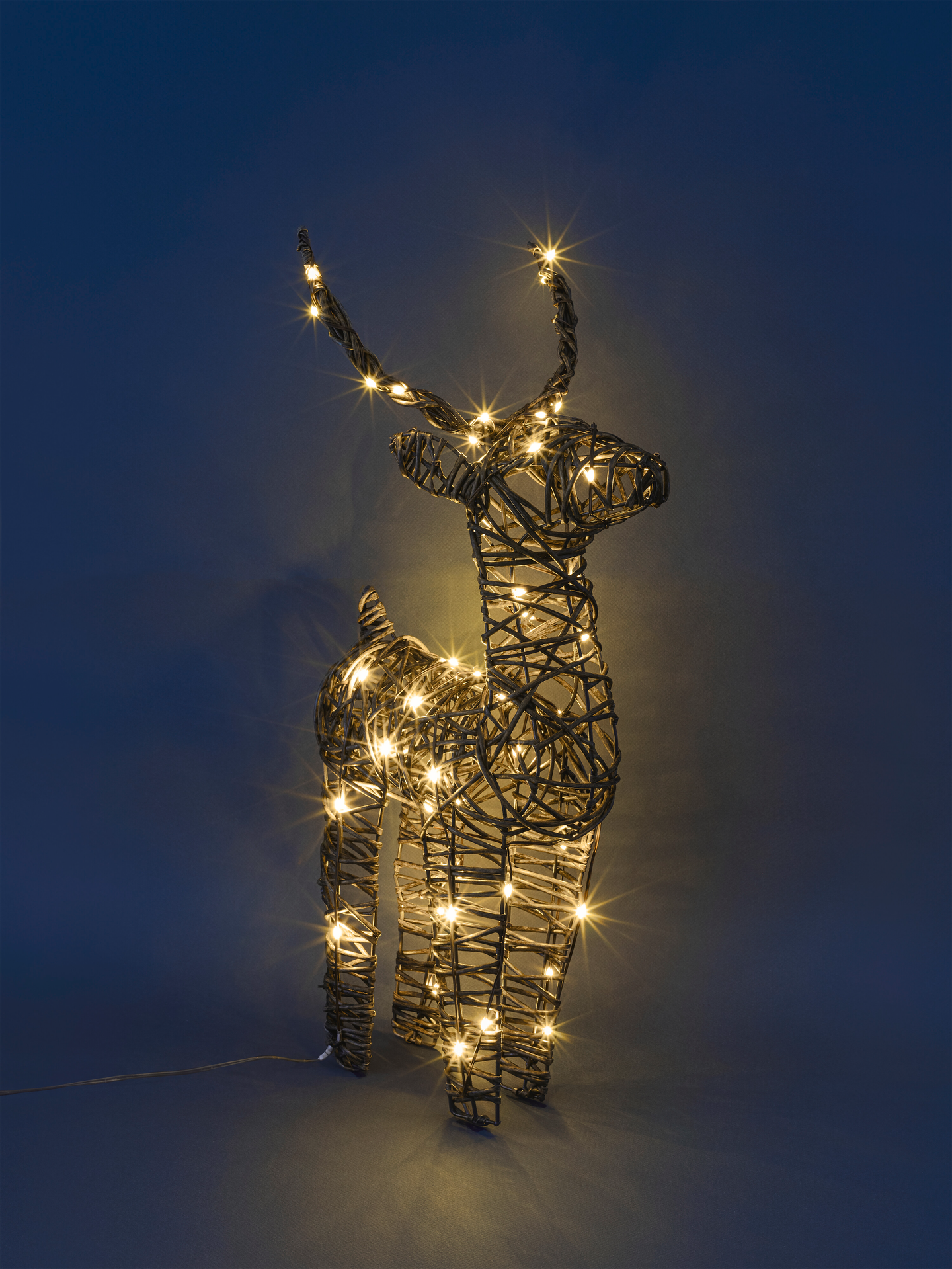 Rottinki peura Airam Bertil