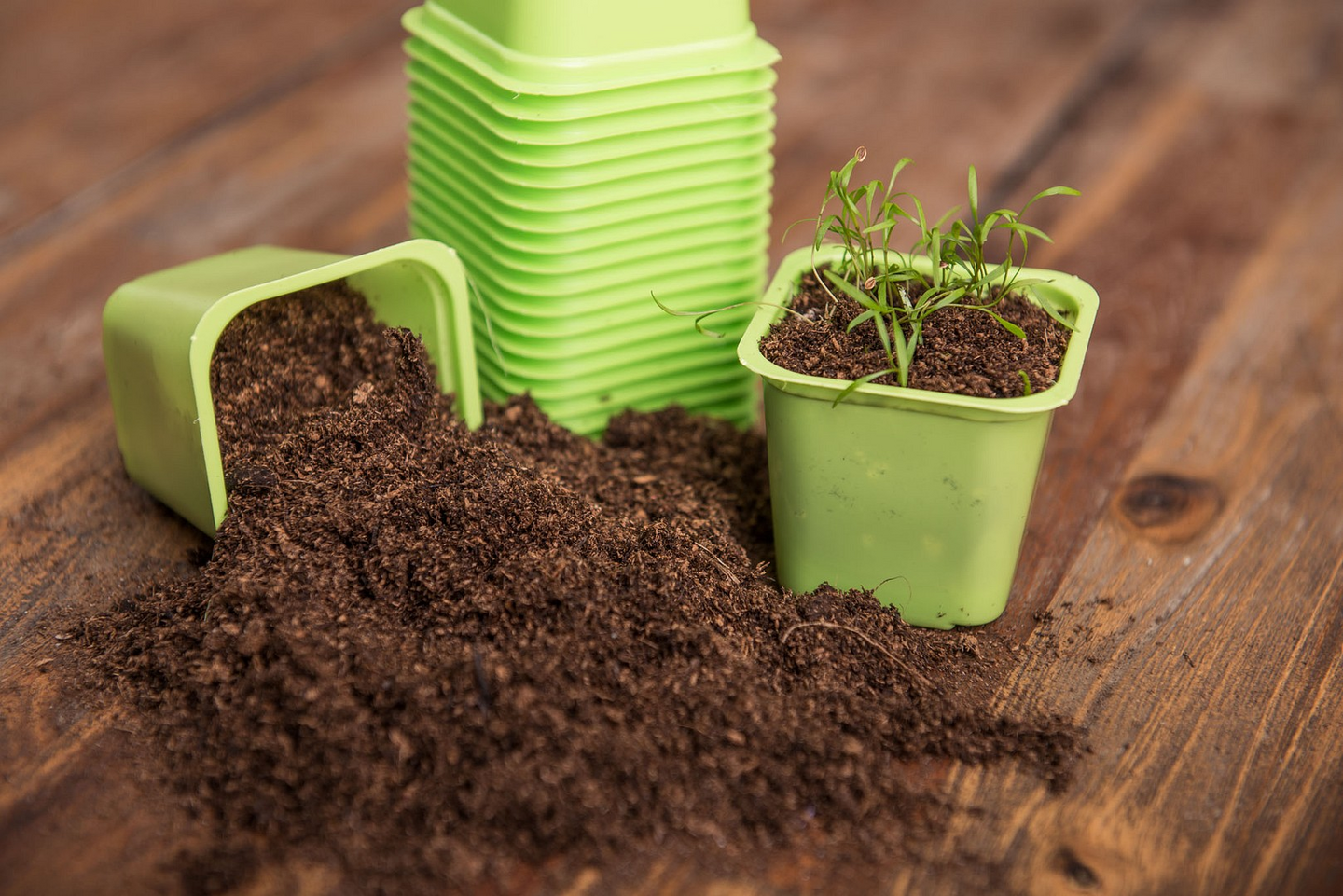 Muoviruukku Vefi 8x8cm lime 20kpl