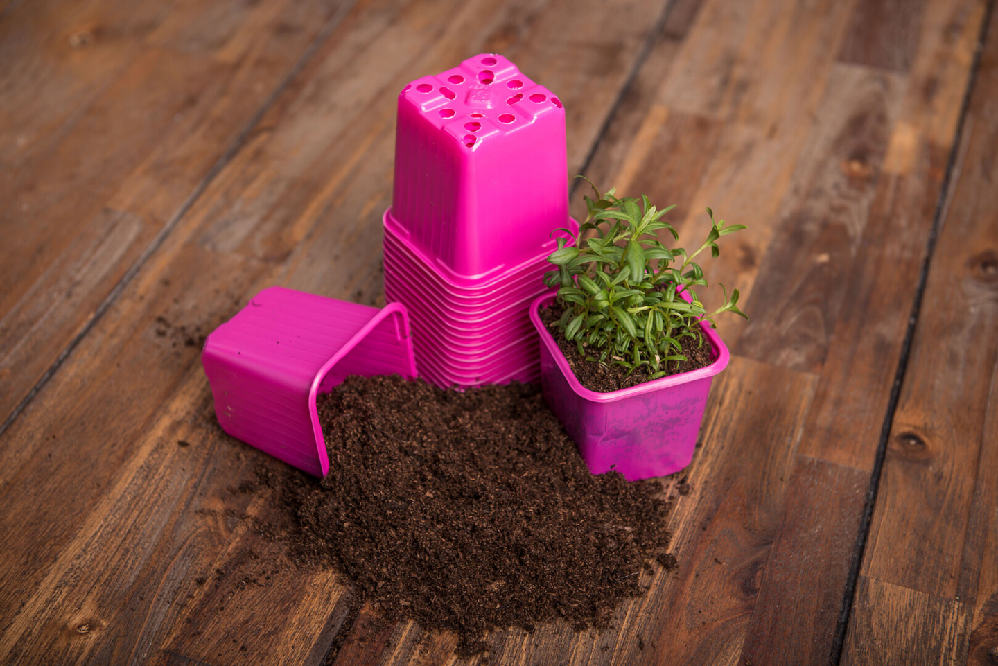 Muoviruukku Vefi 8x8cm pinkki 20kpl