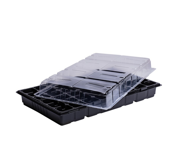 Ryhmäkasvihuone Vefi 53x32x6cm