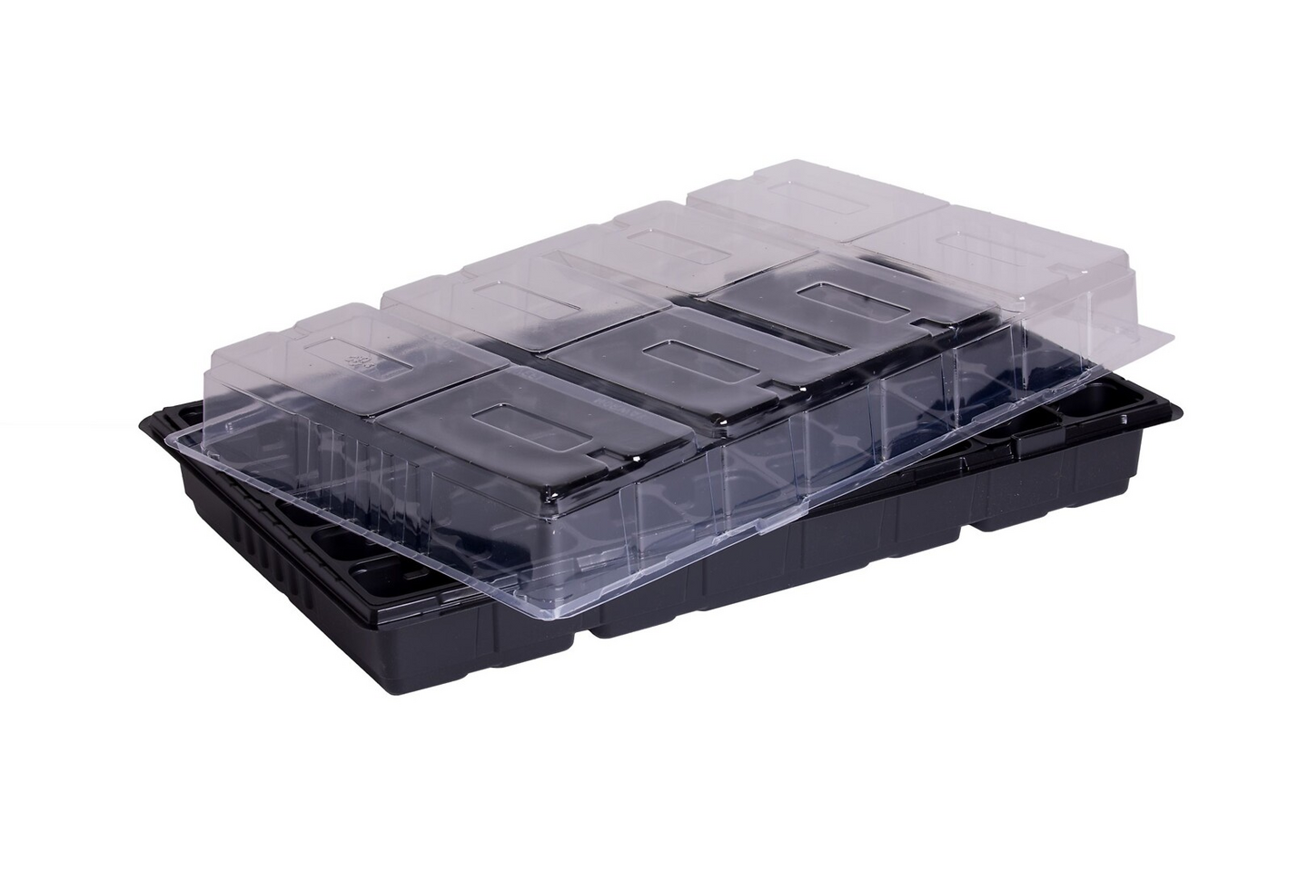 Ryhmäkasvihuone Vefi 53x32x6cm