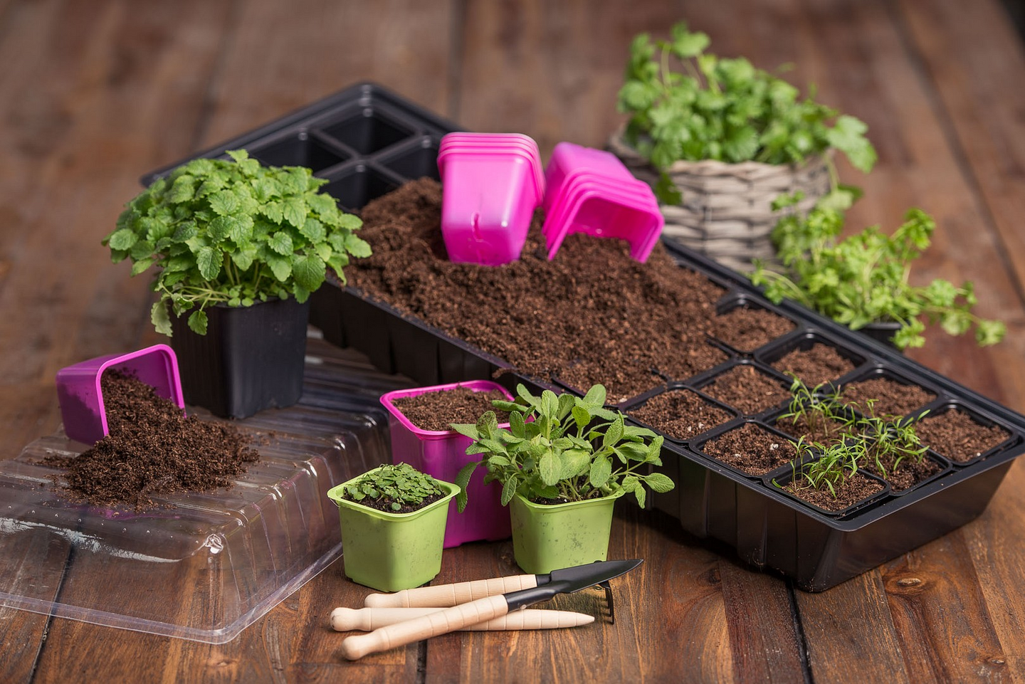 Pienoiskasvihuone Vefi Long Green musta