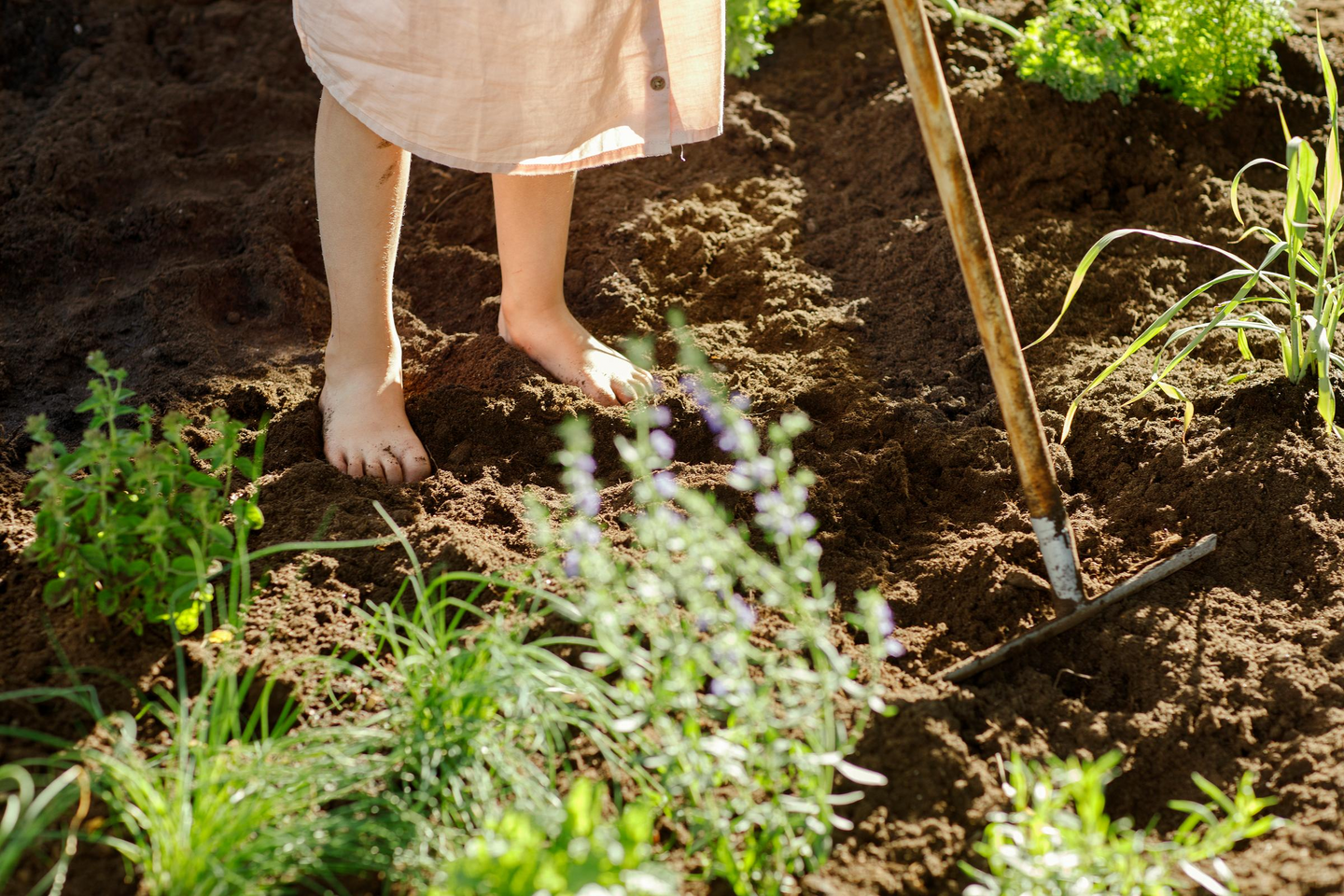Puutarhalannoite Kekkilä luonnonmukainen 10l