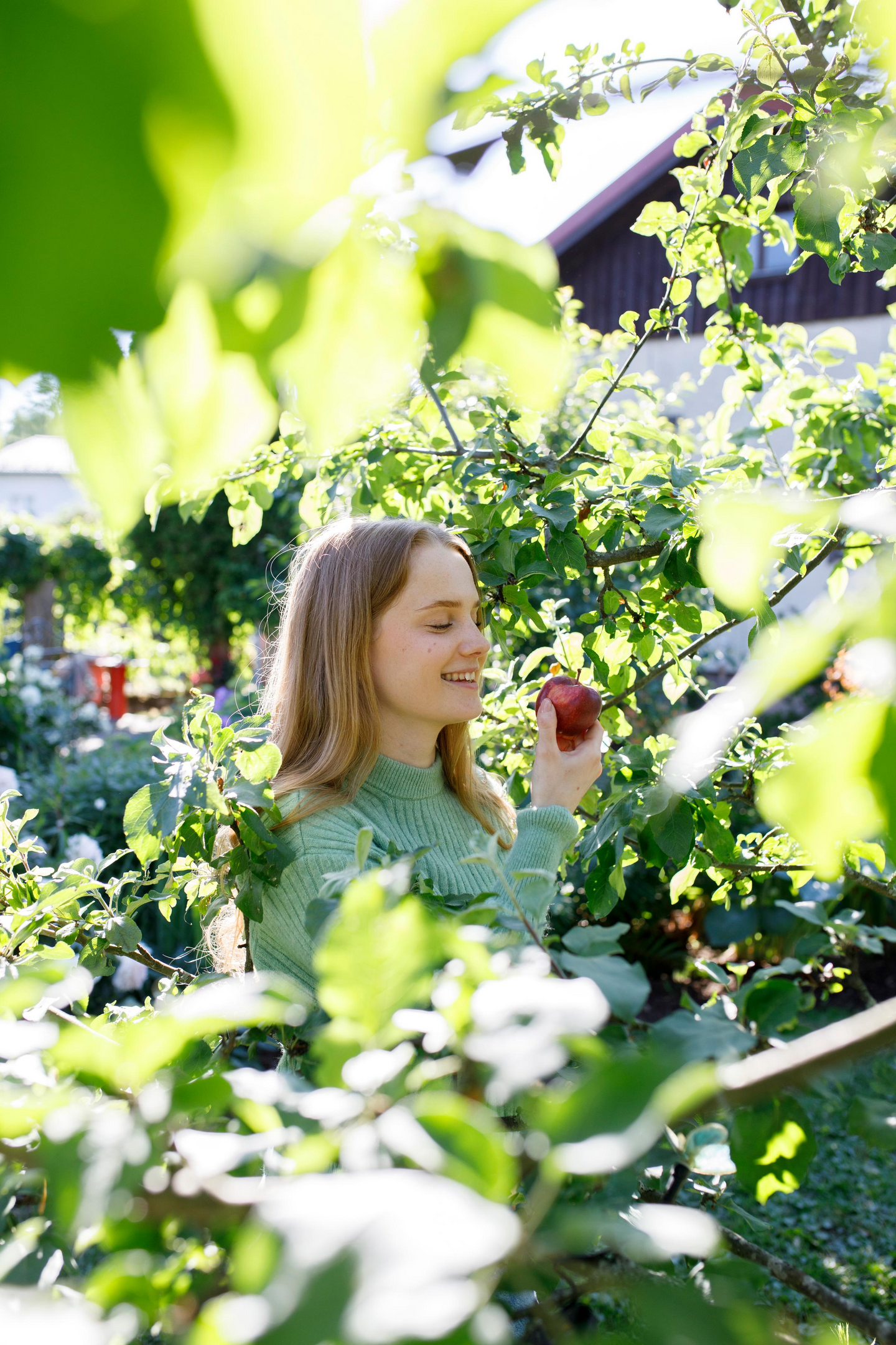 Syyslannoite Kekkilä 1kg