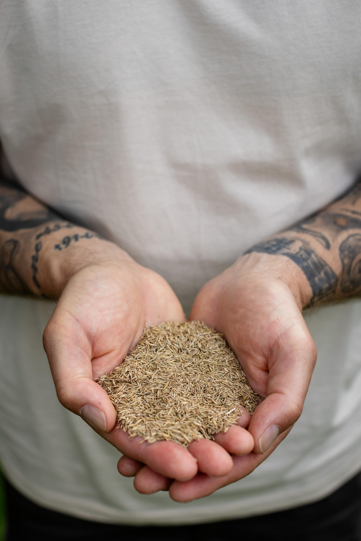 Leikkinurmikko siemenseos Kekkilä 1kg