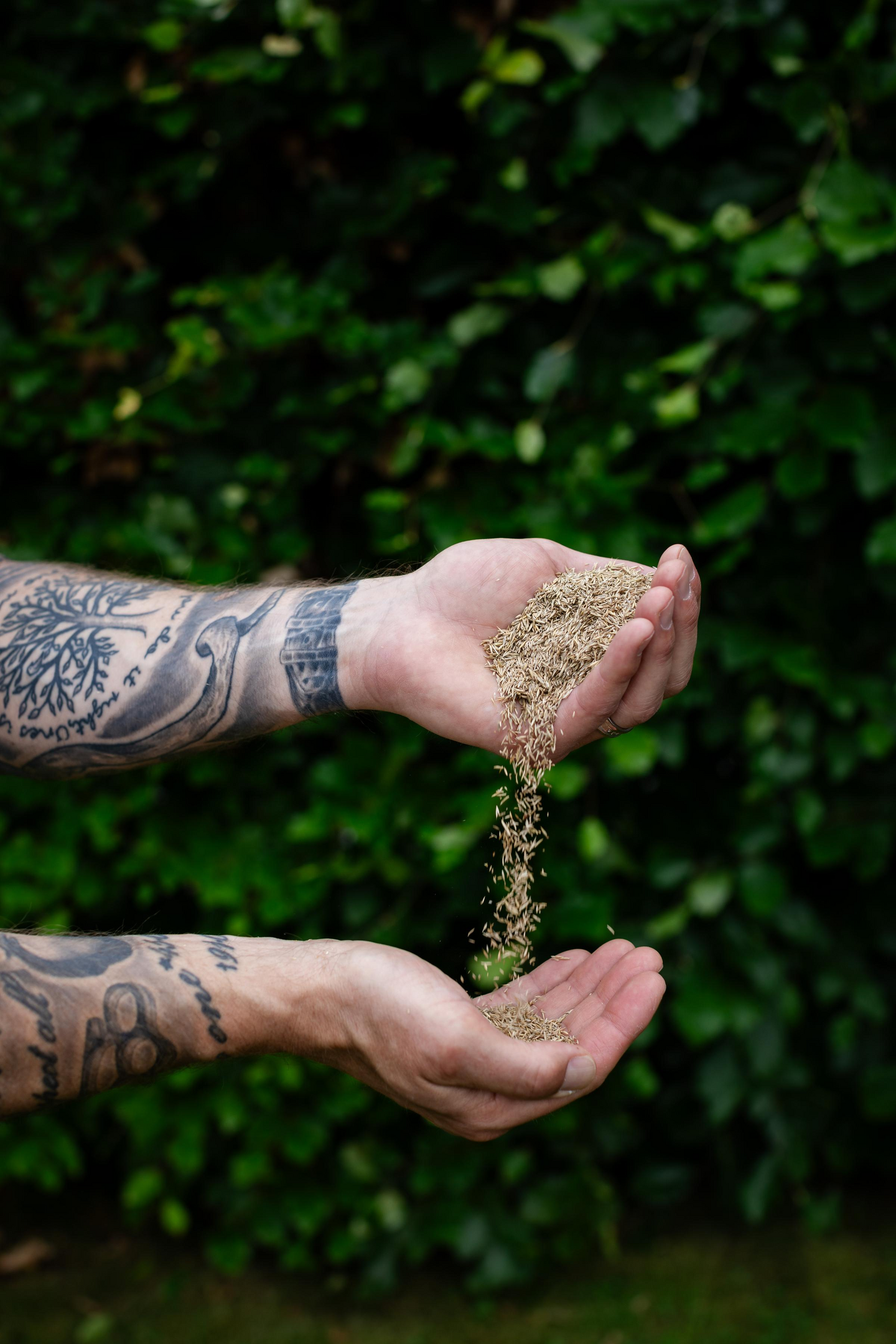 Oleskelunurmikko siemenseos Kekkilä 1kg