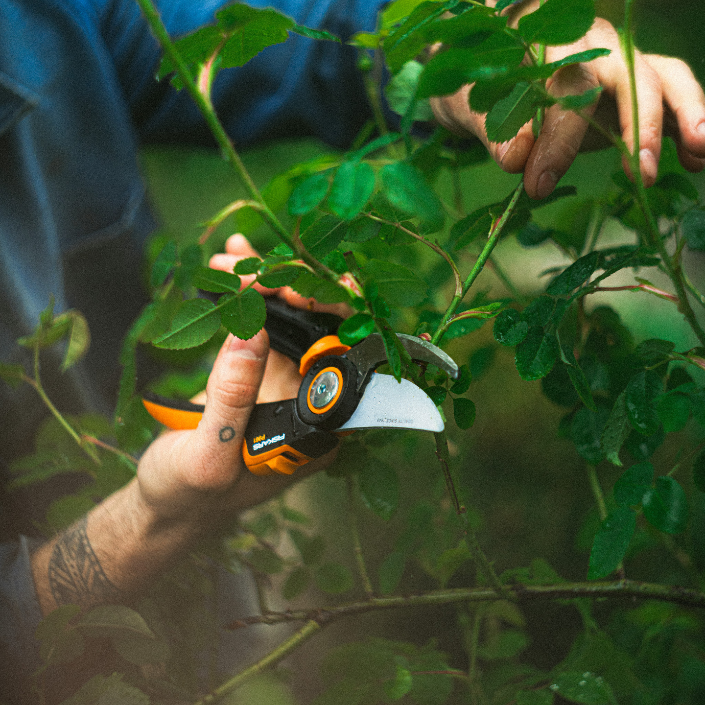 Oksasakset Fiskars x-powergear ohileikkaava l p961