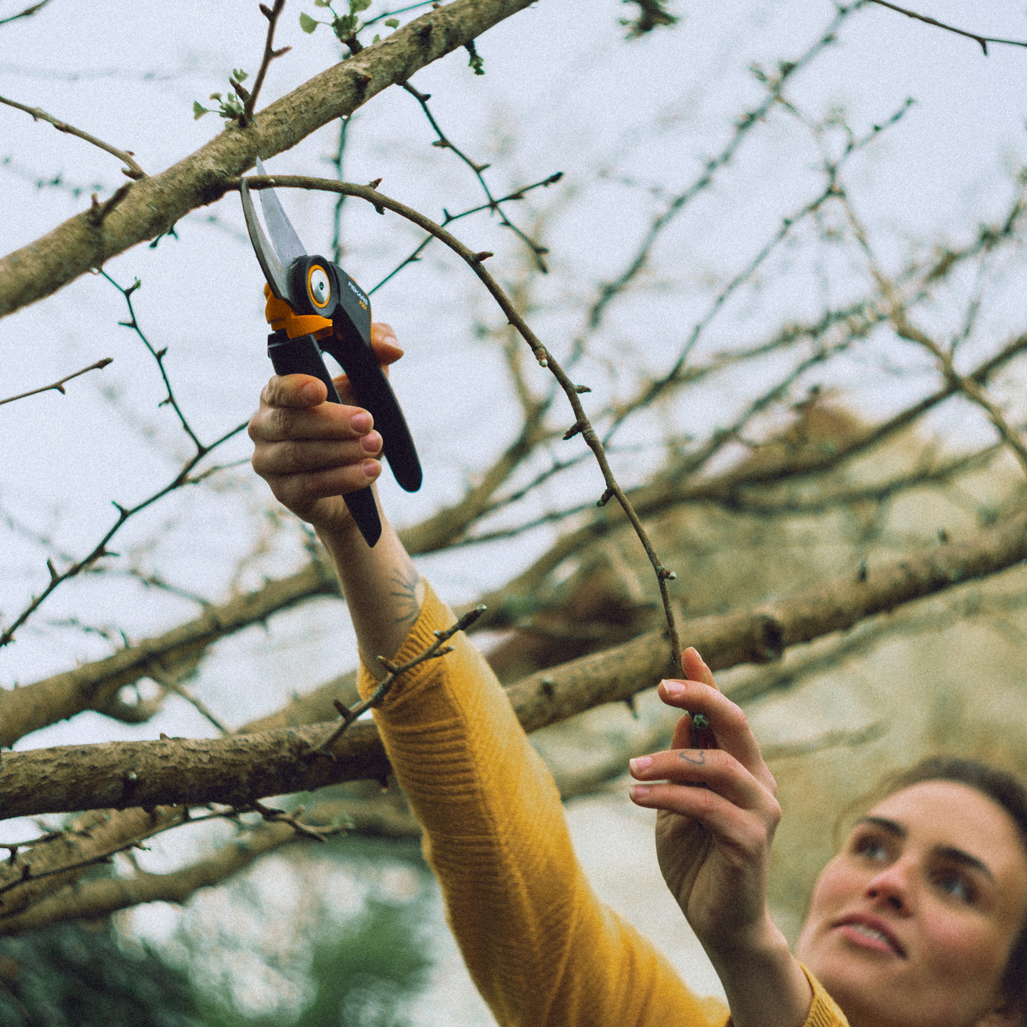 Oksasakset Fiskars x-powergear ohileikkaava l p961