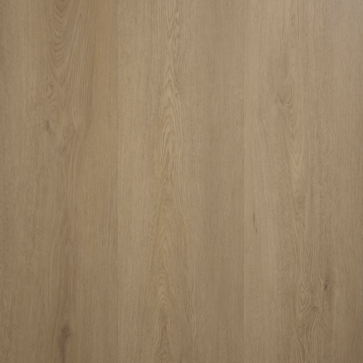 VINYL GOODIY FENIX  EVEREST 7264IB