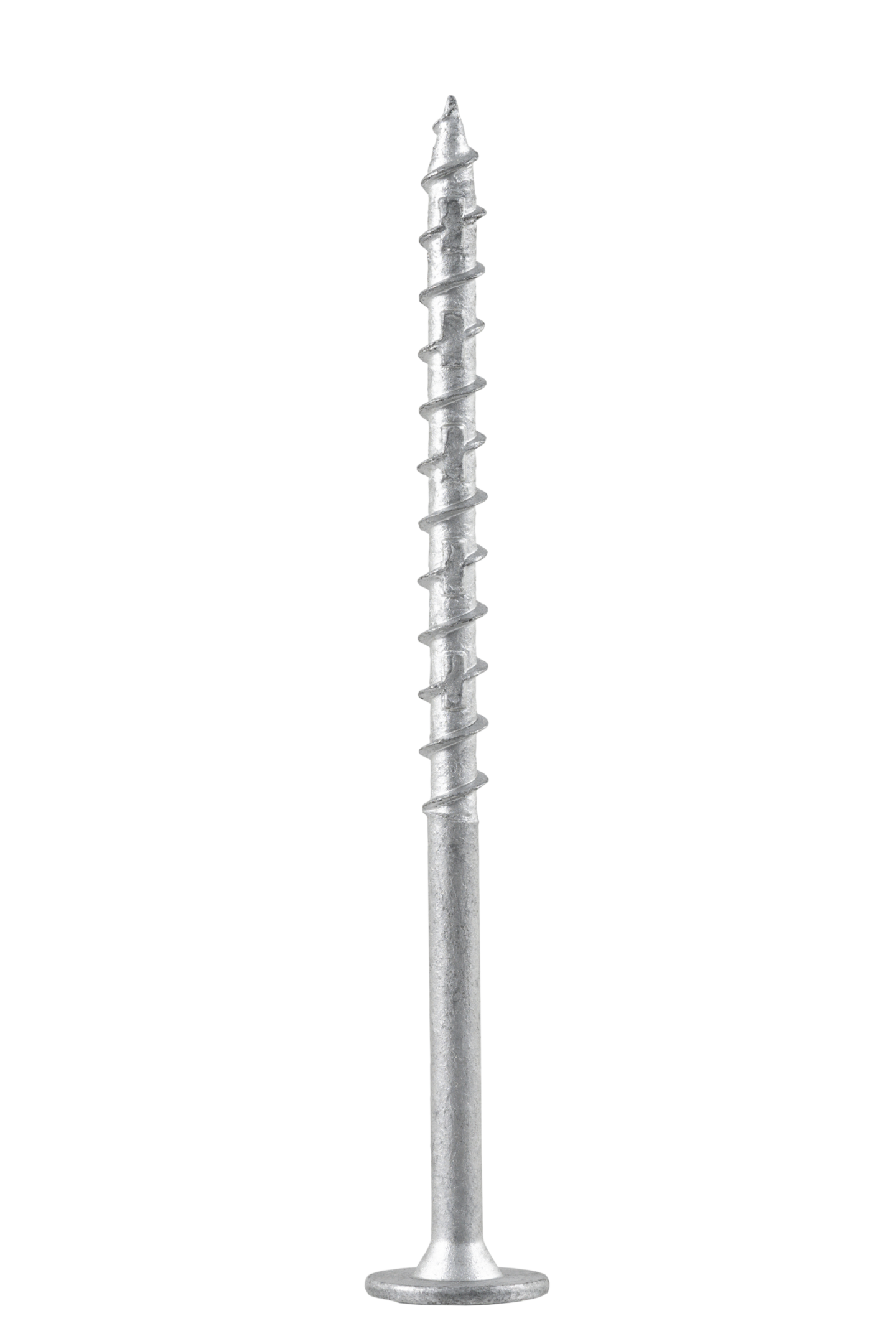 TRESKRUE WAF C4 8X80 PROF T40 A50