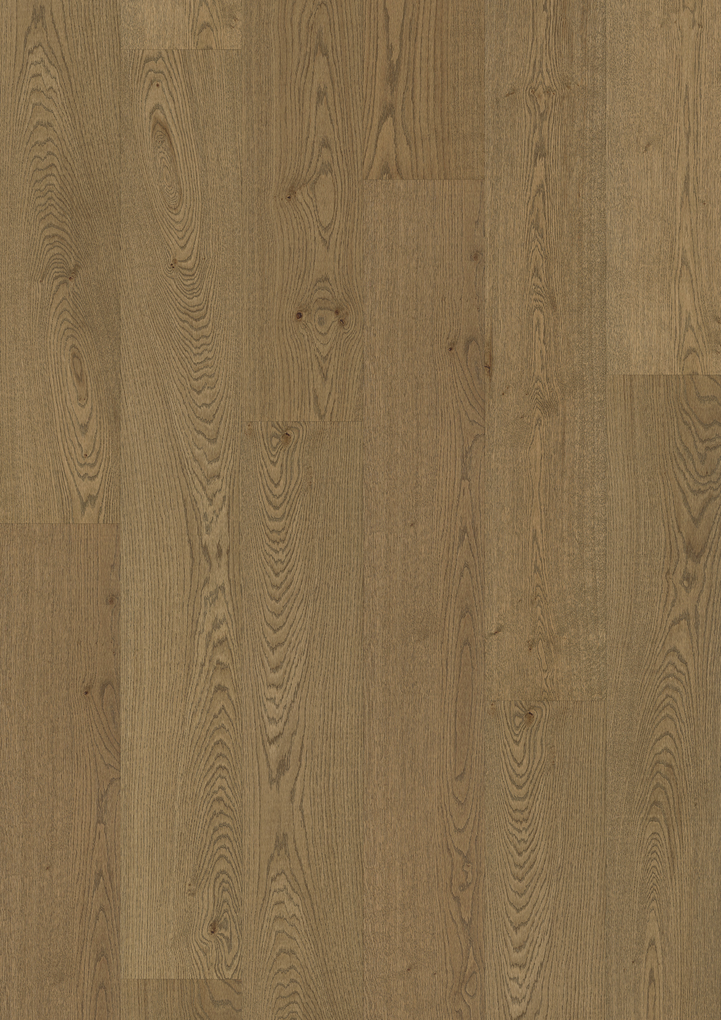 TREGULV MAXWOOD XLW EK UNIQUE MACCH