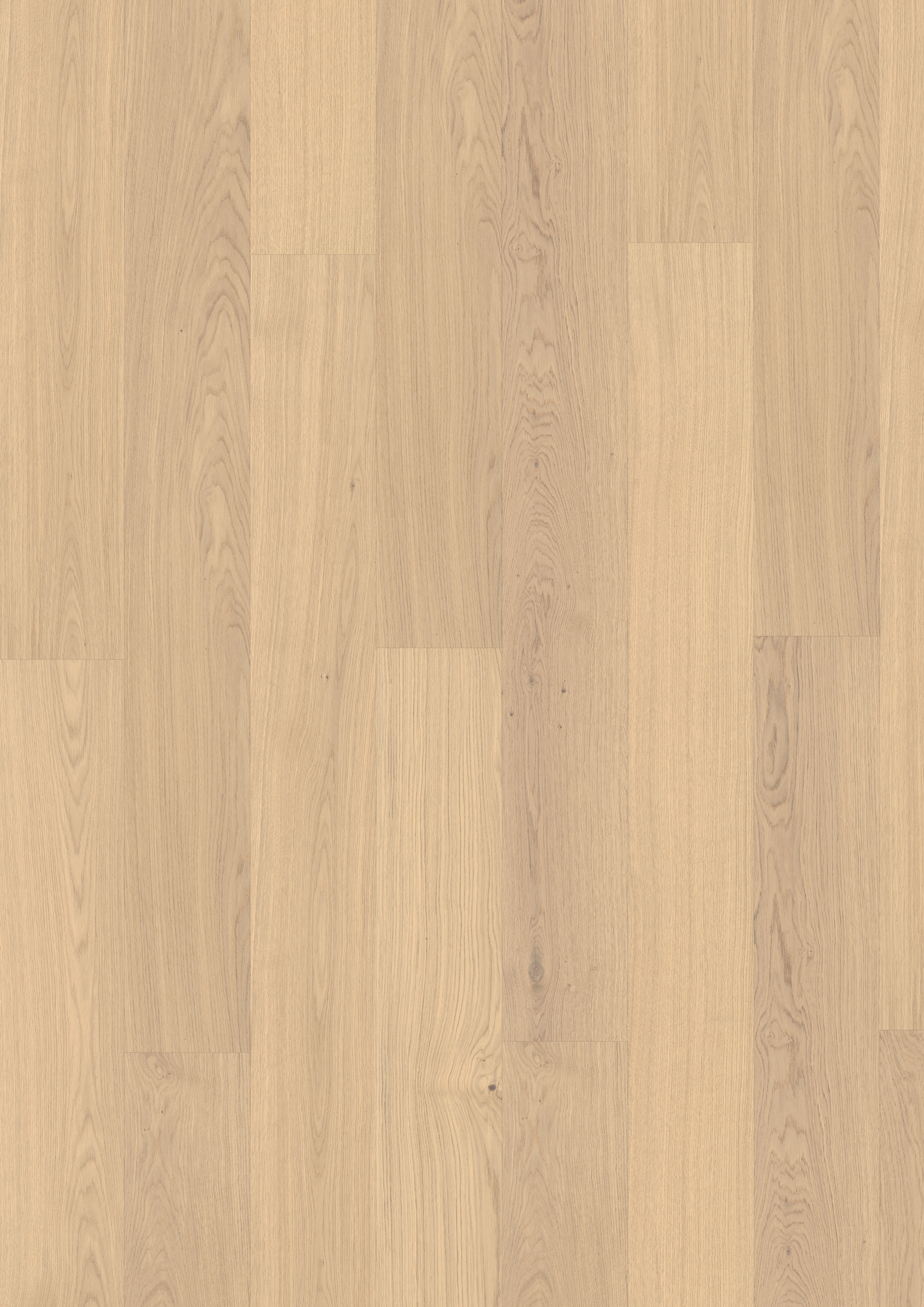 TREGULV MAXWOOD XL EK NATUR RAW