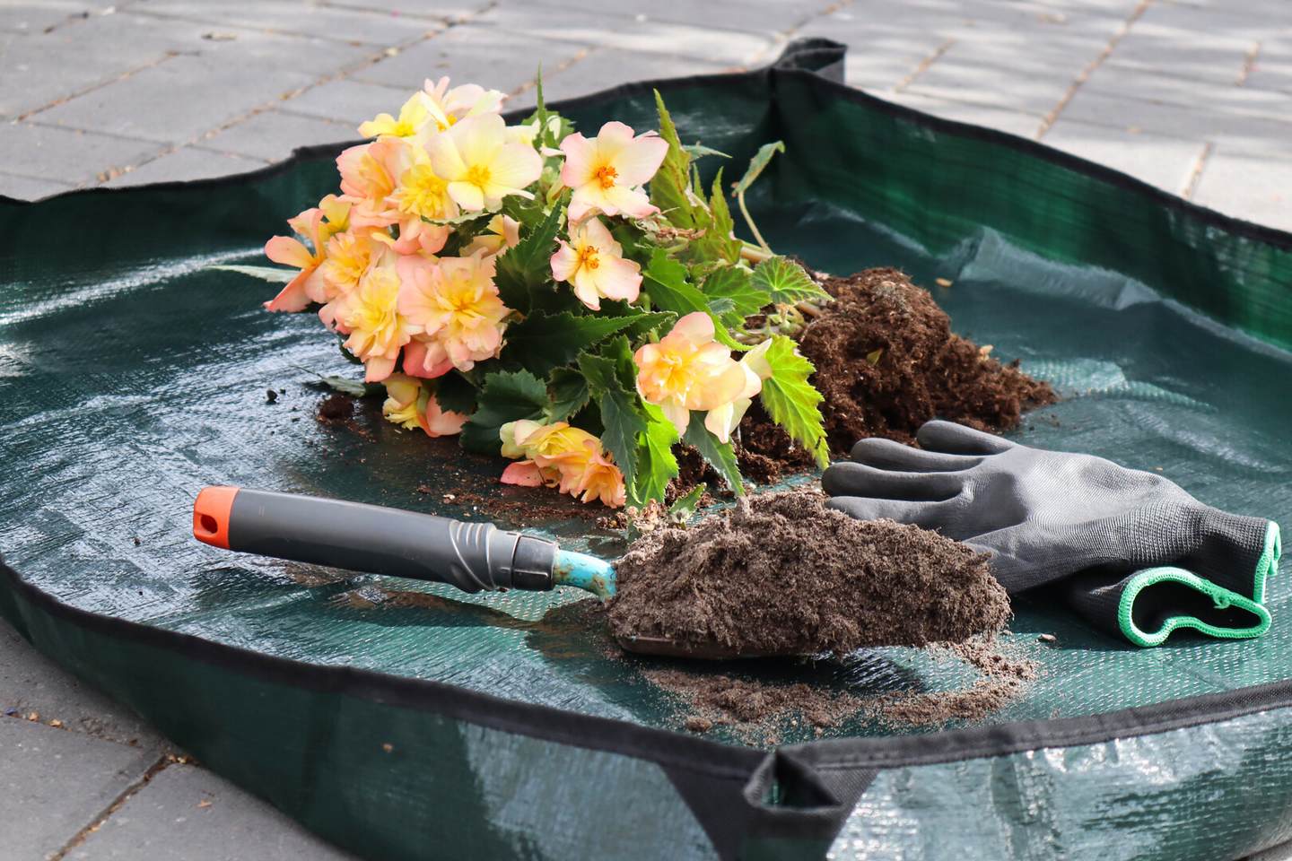 Istutusalusta Tarha 1m2 1x1m