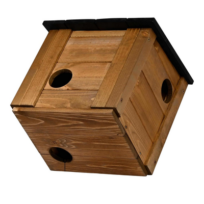Oravan peäspönttö