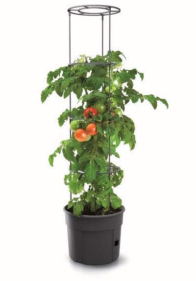 Tomaattiruukku ja kehikko 12l