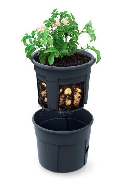 Perunaämpäri matta 12l