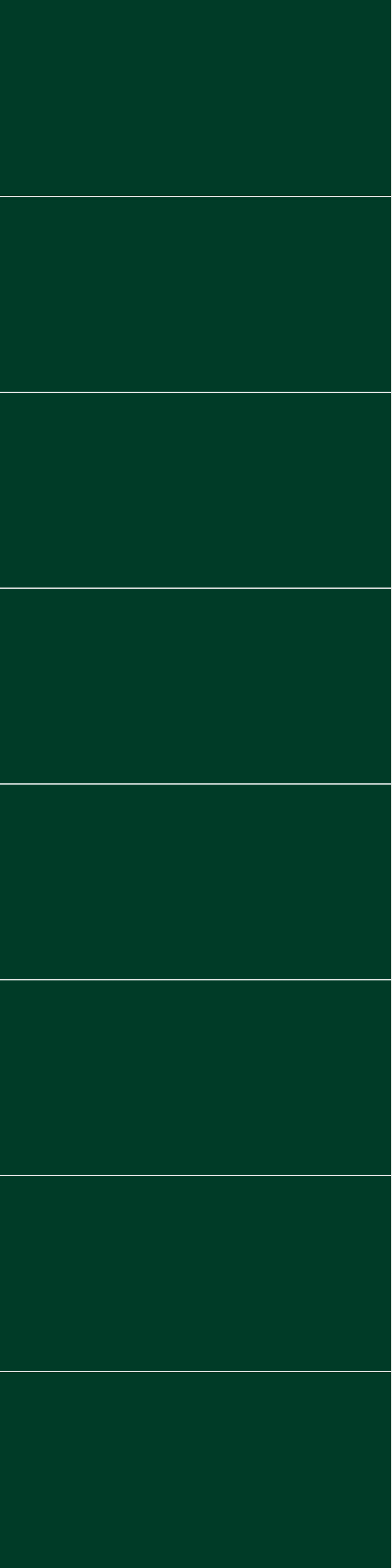 Sisustuslevy Fibo 5231M6030 Bottle Green 10x620x2400mm