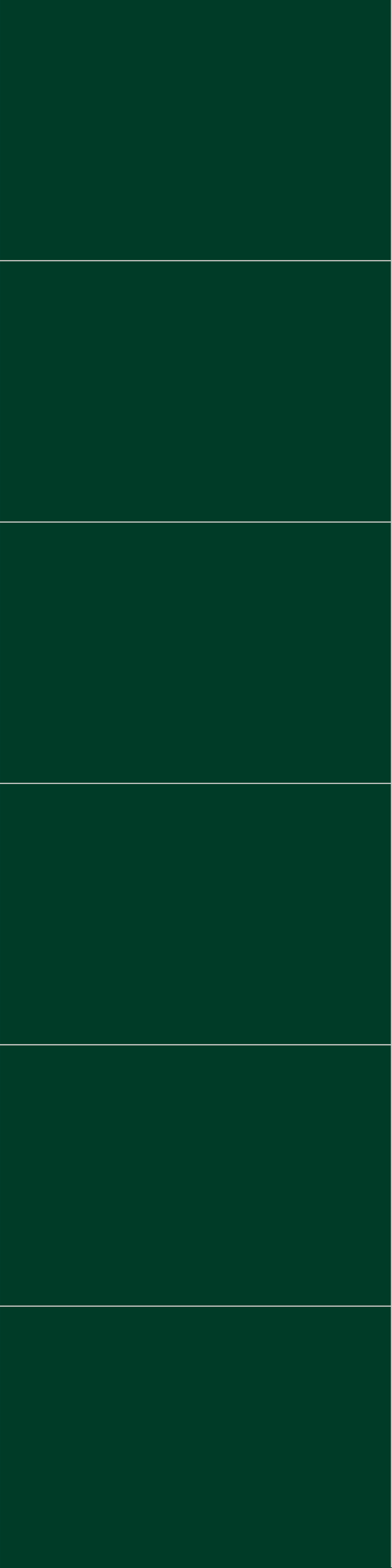 Sisustuslevy Fibo 5231M6040 Bottle Green 10x620x2400mm