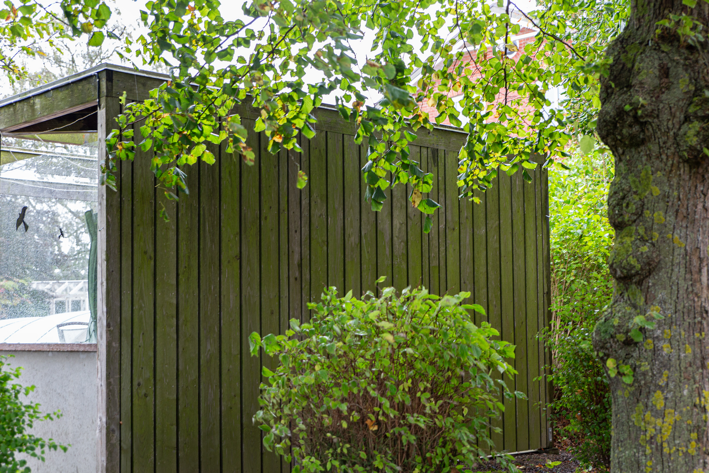 GRÖN-FRI JAPE SPRAY BIOCID 0,5L, BEKÄMPNINGSMEDEL DIREKT