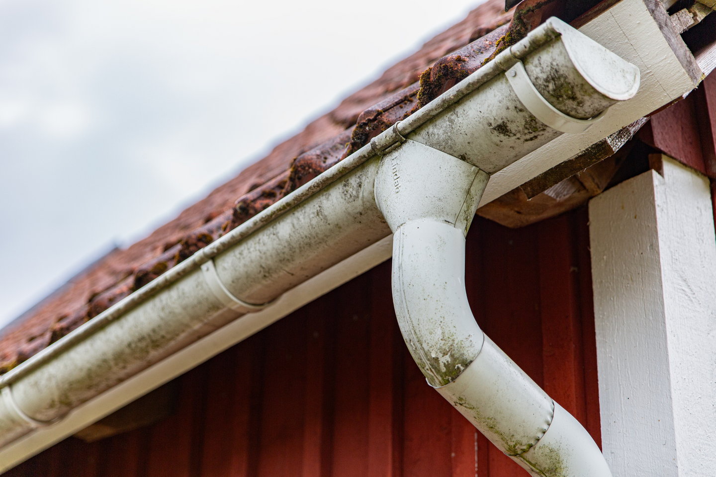 GRÖN-FRI JAPE SPRAY BIOCID 0,5L, BEKÄMPNINGSMEDEL DIREKT