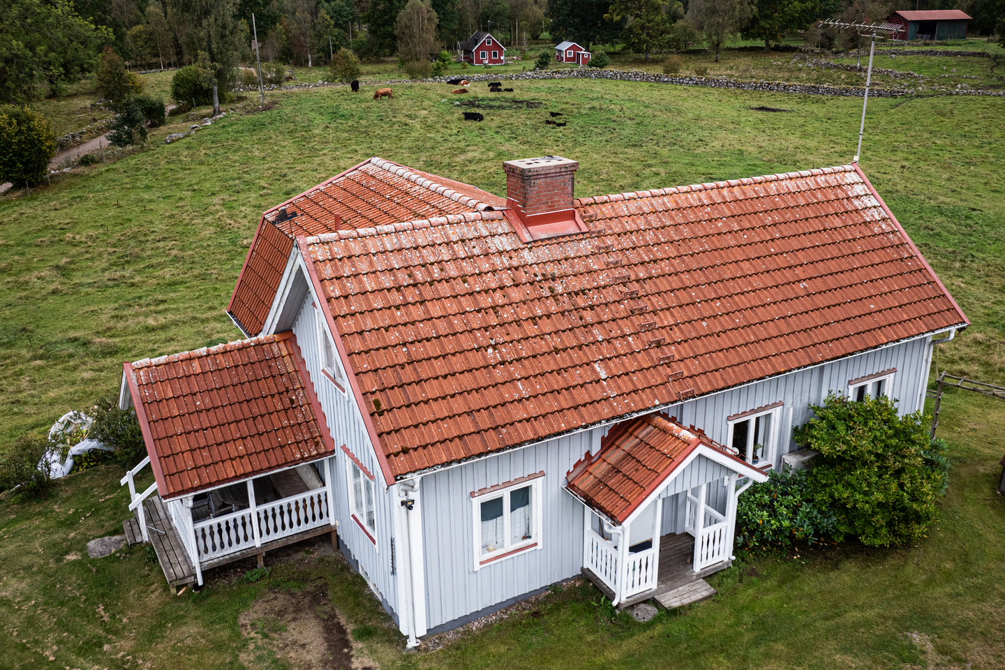 GRÖN-FRI JAPE BIOCID 1L, BEKÄMPNINGSMEDEL