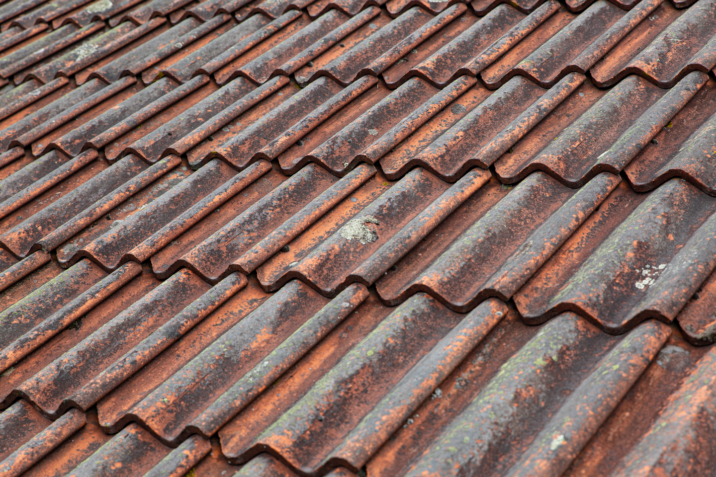 GRÖN-FRI JAPE BIOCID 1L, BEKÄMPNINGSMEDEL